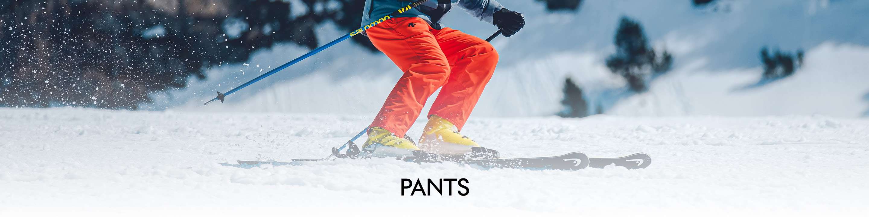 PANTS banner