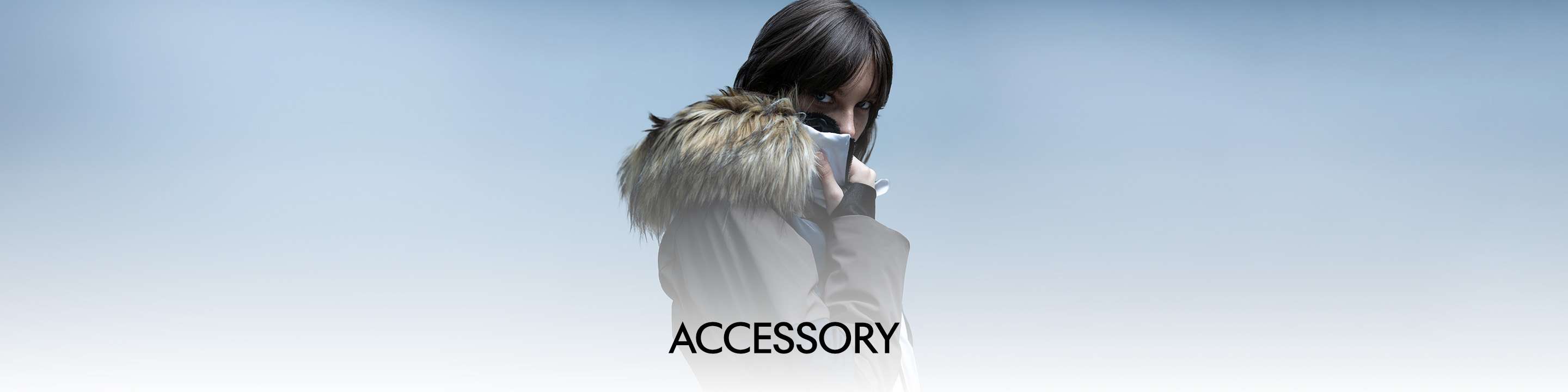 ACCESSORY banner